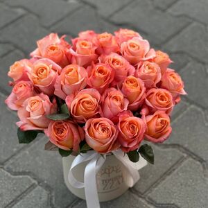31 роз в шляпной коробке
